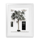 Shop Palm House II Photo Art Print-Boho, Coastal, Green, Hamptons, Photography, Portrait, Tropical, View All, White-framed poster wall decor artwork