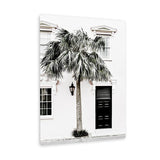 Shop Palm House II Photo Canvas Art Print-Boho, Coastal, Green, Hamptons, Photography, Photography Canvas Prints, Portrait, Tropical, View All, White-framed wall decor artwork