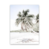 Shop Palm Shadow Photo Canvas Art Print-Boho, Coastal, Green, Hamptons, Photography, Photography Canvas Prints, Portrait, Tropical, View All, White-framed wall decor artwork