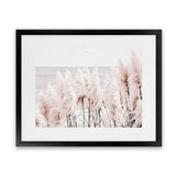 Shop Pampas Grass II Photo Art Print-Boho, Coastal, Florals, Hamptons, Landscape, Photography, Pink, View All-framed poster wall decor artwork