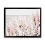 Shop Pampas Grass II Photo Art Print-Boho, Coastal, Florals, Hamptons, Landscape, Photography, Pink, View All-framed poster wall decor artwork