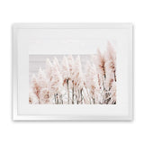 Shop Pampas Grass II Photo Art Print-Boho, Coastal, Florals, Hamptons, Landscape, Photography, Pink, View All-framed poster wall decor artwork