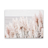 Shop Pampas Grass II Photo Canvas Art Print-Boho, Coastal, Florals, Hamptons, Landscape, Photography, Photography Canvas Prints, Pink, View All-framed wall decor artwork