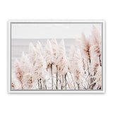 Shop Pampas Grass II Photo Canvas Art Print-Boho, Coastal, Florals, Hamptons, Landscape, Photography, Photography Canvas Prints, Pink, View All-framed wall decor artwork