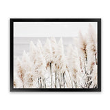 Shop Pampas Grass Photo Art Print-Botanicals, Coastal, Florals, Hamptons, Landscape, Neutrals, Photography, View All-framed poster wall decor artwork