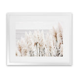 Shop Pampas Grass Photo Art Print-Botanicals, Coastal, Florals, Hamptons, Landscape, Neutrals, Photography, View All-framed poster wall decor artwork