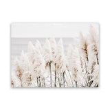 Shop Pampas Grass Photo Canvas Art Print-Botanicals, Florals, Hamptons, Landscape, Neutrals, Photography, Photography Canvas Prints, View All-framed wall decor artwork