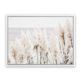 Shop Pampas Grass Photo Canvas Art Print-Botanicals, Florals, Hamptons, Landscape, Neutrals, Photography, Photography Canvas Prints, View All-framed wall decor artwork