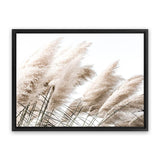 Shop Pampas Photo Canvas Art Print-Boho, Botanicals, Coastal, Florals, Hamptons, Landscape, Neutrals, Photography, Photography Canvas Prints, View All-framed wall decor artwork