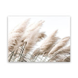 Shop Pampas Photo Canvas Art Print-Boho, Botanicals, Coastal, Florals, Hamptons, Landscape, Neutrals, Photography, Photography Canvas Prints, View All-framed wall decor artwork