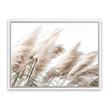 Shop Pampas Photo Canvas Art Print-Boho, Botanicals, Coastal, Florals, Hamptons, Landscape, Neutrals, Photography, Photography Canvas Prints, View All-framed wall decor artwork