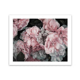 Shop Pink Blooms Art Print-Botanicals, Florals, Hamptons, Landscape, Pink, View All-framed painted poster wall decor artwork