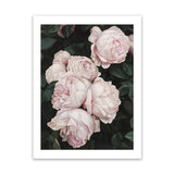 Shop Pink Roses Art Print-Florals, Green, Hamptons, Pink, Portrait, View All-framed painted poster wall decor artwork