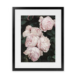 Shop Pink Roses Art Print-Florals, Green, Hamptons, Pink, Portrait, View All-framed painted poster wall decor artwork