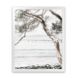 Shop Tea Tree Bay I Photo Art Print-Botanicals, Coastal, Hamptons, Neutrals, Photography, Portrait, View All-framed poster wall decor artwork
