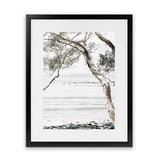 Shop Tea Tree Bay I Photo Art Print-Botanicals, Coastal, Hamptons, Neutrals, Photography, Portrait, View All-framed poster wall decor artwork