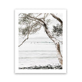 Shop Tea Tree Bay I Photo Art Print-Botanicals, Coastal, Hamptons, Neutrals, Photography, Portrait, View All-framed poster wall decor artwork
