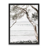 Shop Tea Tree Bay I Photo Canvas Art Print-Botanicals, Coastal, Hamptons, Neutrals, Photography, Photography Canvas Prints, Portrait, View All-framed wall decor artwork