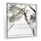 Shop Tea Tree Bay (Square) Photo Canvas Art Print-Botanicals, Coastal, Green, Hamptons, Photography, Photography Canvas Prints, Square, Tropical, View All, White-framed wall decor artwork