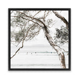 Shop Tea Tree Bay (Square) Photo Canvas Art Print-Botanicals, Coastal, Green, Hamptons, Photography, Photography Canvas Prints, Square, Tropical, View All, White-framed wall decor artwork