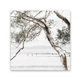 Shop Tea Tree Bay (Square) Photo Canvas Art Print-Botanicals, Coastal, Green, Hamptons, Photography, Photography Canvas Prints, Square, Tropical, View All, White-framed wall decor artwork
