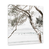 Shop Tea Tree Bay (Square) Photo Canvas Art Print-Botanicals, Coastal, Green, Hamptons, Photography, Photography Canvas Prints, Square, Tropical, View All, White-framed wall decor artwork