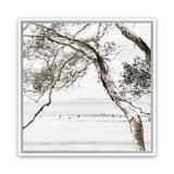 Shop Tea Tree Bay (Square) Photo Canvas Art Print-Botanicals, Coastal, Green, Hamptons, Photography, Photography Canvas Prints, Square, Tropical, View All, White-framed wall decor artwork