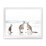 Shop Three Kangaroos Photo Art Print-Animals, Boho, Coastal, Landscape, Neutrals, Photography, View All, White-framed poster wall decor artwork