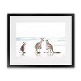 Shop Three Kangaroos Photo Art Print-Animals, Boho, Coastal, Landscape, Neutrals, Photography, View All, White-framed poster wall decor artwork