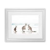 Shop Three Kangaroos Photo Art Print-Animals, Boho, Coastal, Landscape, Neutrals, Photography, View All, White-framed poster wall decor artwork