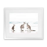 Shop Three Kangaroos Photo Art Print-Animals, Boho, Coastal, Landscape, Neutrals, Photography, View All, White-framed poster wall decor artwork