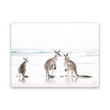 Shop Three Kangaroos Photo Canvas Art Print-Animals, Boho, Coastal, Landscape, Neutrals, Photography, Photography Canvas Prints, View All, White-framed wall decor artwork