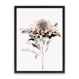Shop Waratah II Photo Canvas Art Print-Botanicals, Florals, Hamptons, Nature, Photography, Photography Canvas Prints, Pink, Portrait, View All, White-framed wall decor artwork