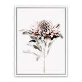 Shop Waratah II Photo Canvas Art Print-Botanicals, Florals, Hamptons, Nature, Photography, Photography Canvas Prints, Pink, Portrait, View All, White-framed wall decor artwork