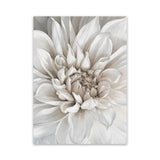 Shop White Dahlia Canvas Art Print-Florals, Hamptons, Portrait, View All, White-framed wall decor artwork