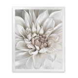 Shop White Dahlia Art Print-Florals, Hamptons, Portrait, View All, White-framed painted poster wall decor artwork