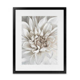 Shop White Dahlia Art Print-Florals, Hamptons, Portrait, View All, White-framed painted poster wall decor artwork