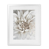 Shop White Dahlia Art Print-Florals, Hamptons, Portrait, View All, White-framed painted poster wall decor artwork
