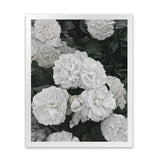 Shop White English Roses Art Print-Florals, Green, Hamptons, Portrait, View All, White-framed painted poster wall decor artwork