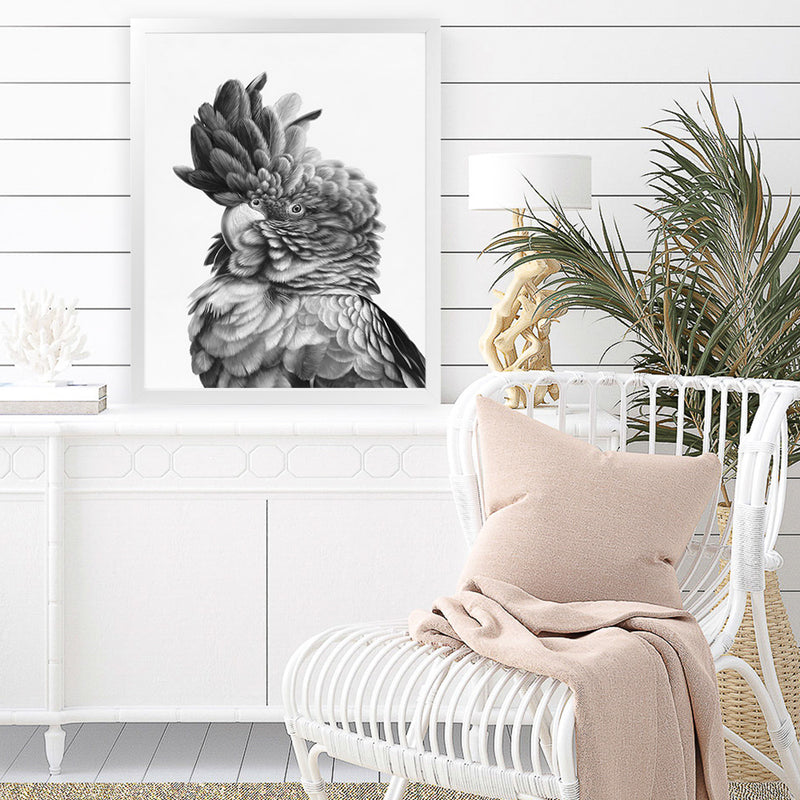 Shop Black Cockatoo Close-Up Art Print-Animals, Baby Nursery, Birds, Black, Grey, Portrait, Scandinavian, Tropical, View All, White-framed painted poster wall decor artwork