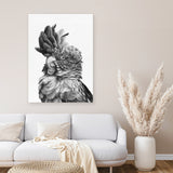 Shop Black Cockatoo Close-Up Canvas Art Print-Animals, Baby Nursery, Birds, Black, Grey, Portrait, Scandinavian, Tropical, View All, White-framed wall decor artwork