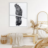Shop Black Cockatoo Canvas Art Print-Animals, Baby Nursery, Birds, Black, Portrait, Tropical, View All, White-framed wall decor artwork