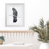 Shop Black Cockatoo Art Print-Animals, Baby Nursery, Birds, Black, Portrait, Tropical, View All, White-framed painted poster wall decor artwork