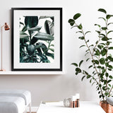 Shop Rubber Plant Art Print-Botanicals, Green, Hamptons, Portrait, Tropical, View All-framed painted poster wall decor artwork