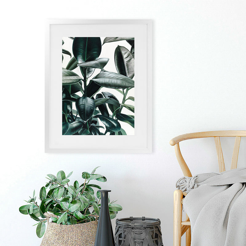 Shop Rubber Plant Art Print-Botanicals, Green, Hamptons, Portrait, Tropical, View All-framed painted poster wall decor artwork