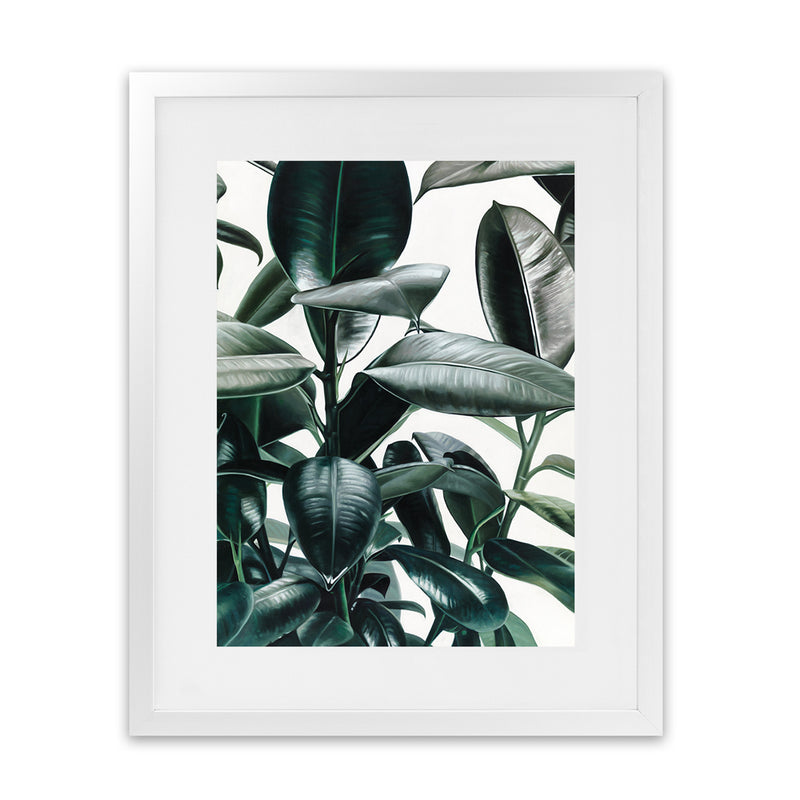 Shop Rubber Plant Art Print-Botanicals, Green, Hamptons, Portrait, Tropical, View All-framed painted poster wall decor artwork