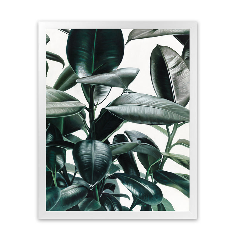Shop Rubber Plant Art Print-Botanicals, Green, Hamptons, Portrait, Tropical, View All-framed painted poster wall decor artwork