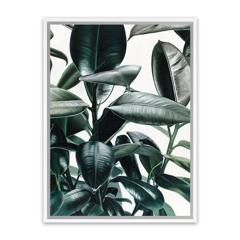 Shop Rubber Plant Canvas Art Print-Botanicals, Green, Hamptons, Portrait, Tropical, View All-framed wall decor artwork