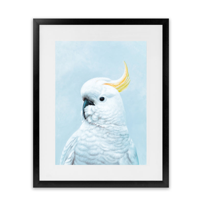 Shop White Cockatoo in Blue Art Print-Animals, Baby Nursery, Birds, Blue, Portrait, View All-framed painted poster wall decor artwork