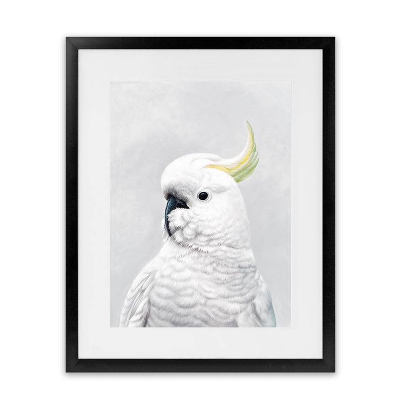 Shop White Cockatoo Art Print-Animals, Baby Nursery, Birds, Portrait, View All, White-framed painted poster wall decor artwork